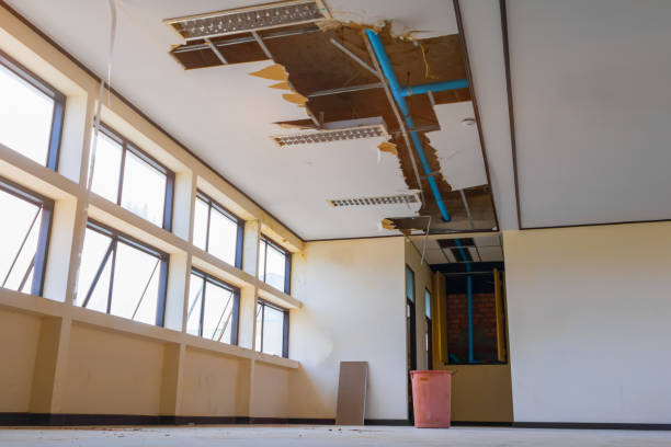 Best Water damage restoration near me  in Mckinney, TX