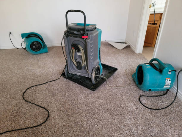 Best Commercial water damage restoration  in Mckinney, TX