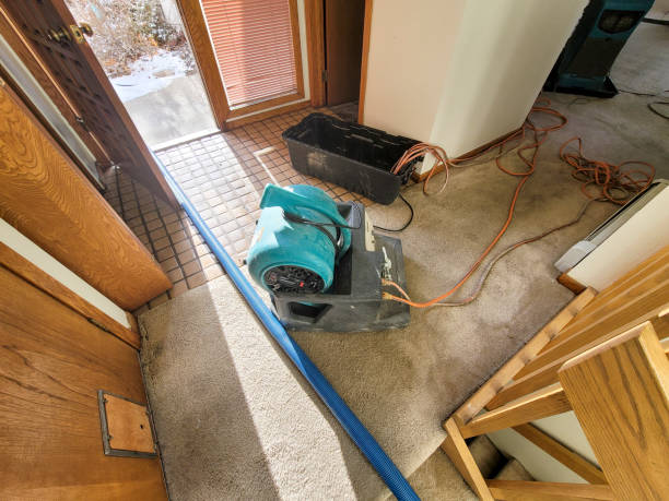 Best Water damage contractors near me  in Mckinney, TX