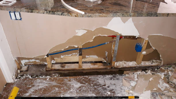 Best Basement water damage restoration  in Mckinney, TX