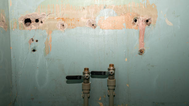 Best Water damage mitigation services  in Mckinney, TX