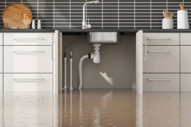 Best 24-hour water damage restoration  in Mckinney, TX